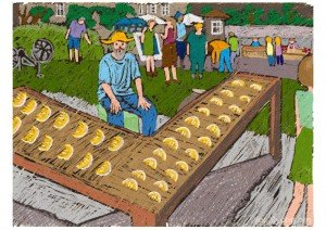 A Tale Of A Comb Vendor
