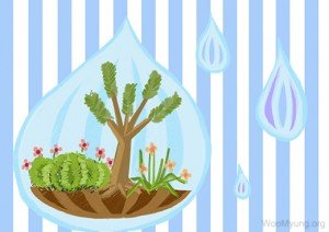 A Conversation Between Rain And Earth