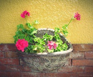 A Must-Have Item For Your Bucket List – To Attain The Eternal Life
