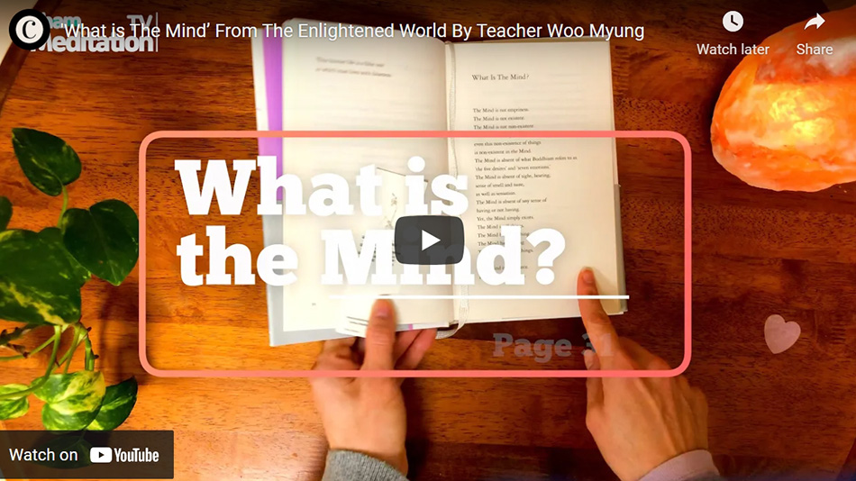 ‘What is The Mind’ From The Enlightened World By Teacher Woo Myung