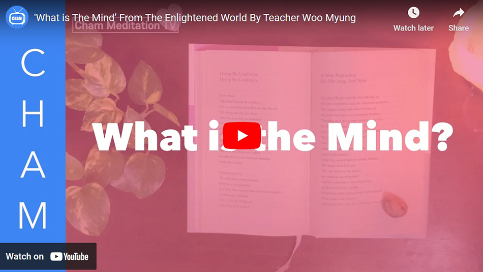 ‘What is The Mind’ From The Enlightened World By Teacher Woo Myung