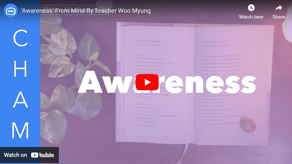 ‘Awareness’ From Mind By Teacher Woo Myung