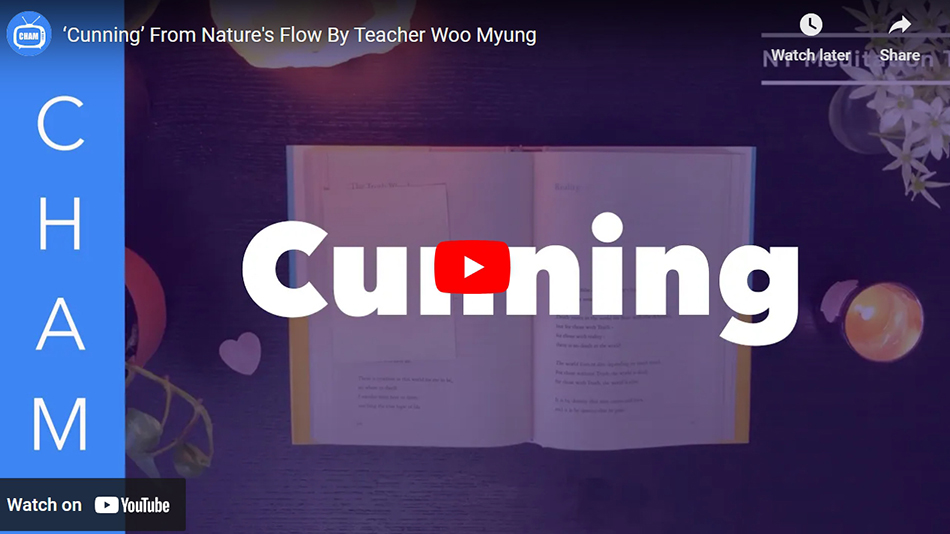 ‘Cunning’ From Nature’s Flow By Teacher Woo Myung