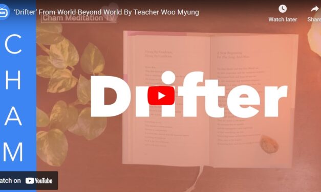‘Drifter’ From World Beyond World By Teacher Woo Myung