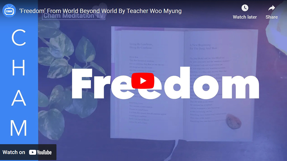 ‘Freedom’ From World Beyond World By Teacher Woo Myung