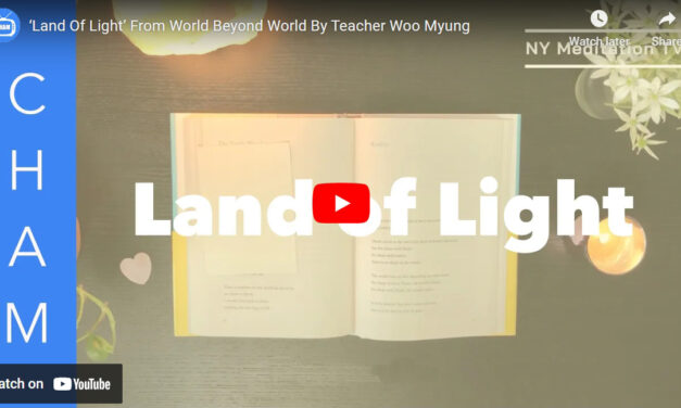 ‘Land Of Light’ From World Beyond World By Teacher Woo Myung