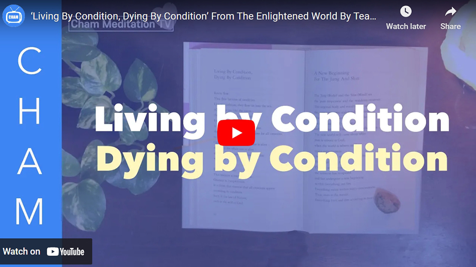 ‘Living By Condition, Dying By Condition’ From The Enlightened World By Teacher Woo Myung