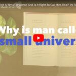 ‘Why Is Man Called A ‘Small Universe’ And Is It Right To Call Him This?’ By Teacher Woo Myung