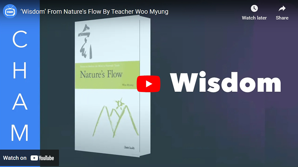 ‘Wisdom’ From Nature’s Flow By Teacher Woo Myung