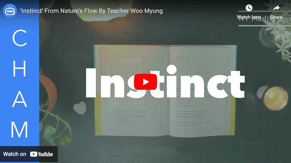 ‘Instinct’ From Nature’s Flow By Teacher Woo Myung