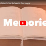 ‘Memories’ From Nature’s Flow By Teacher Woo Myung