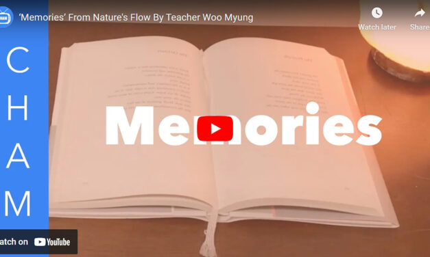 ‘Memories’ From Nature’s Flow By Teacher Woo Myung