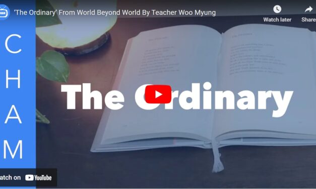 ‘The Ordinary’ From World Beyond World By Teacher Woo Myung