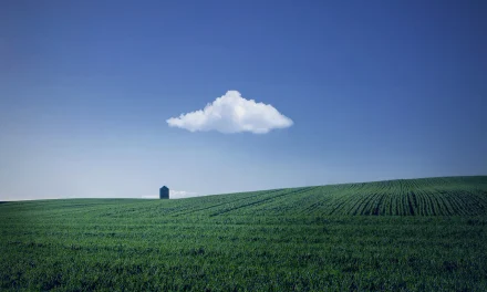 Clouds
