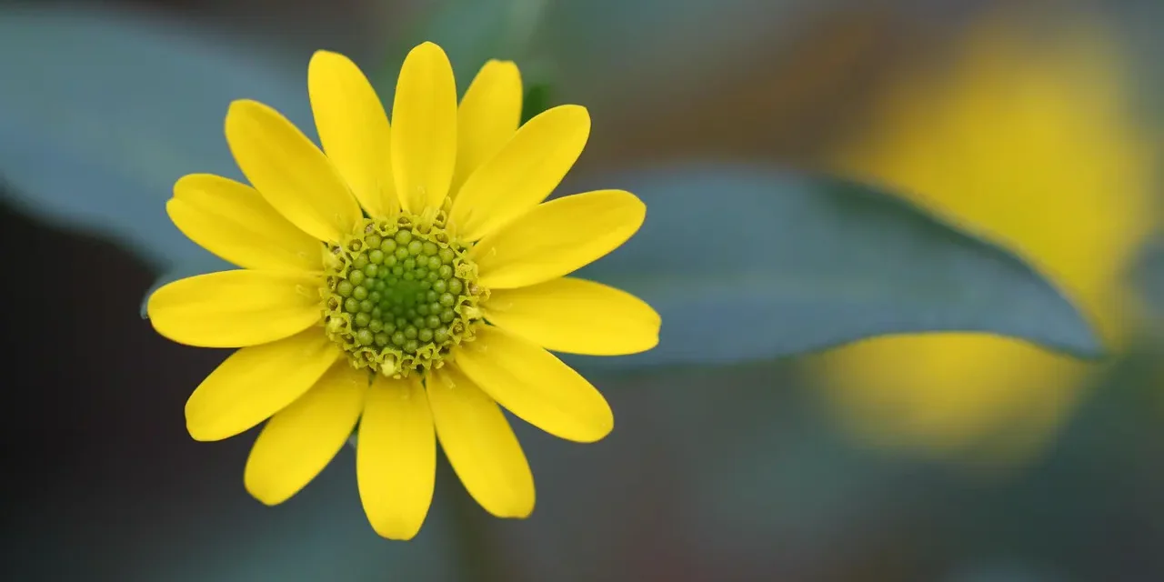 What Is Human Sin and Karma ?