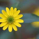 What Is Human Sin and Karma ?