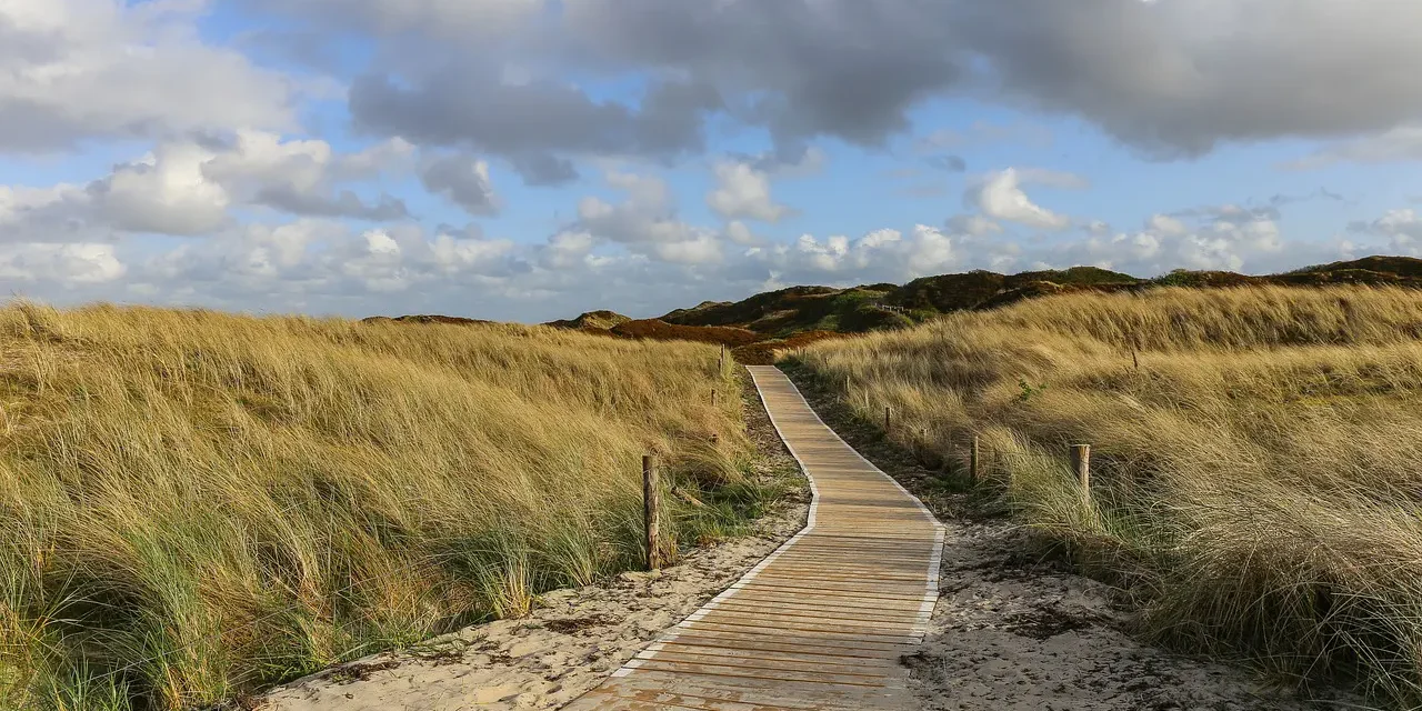 Where You Become True Is the Place of Truth – Preface
