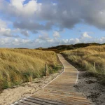 Where You Become True Is the Place of Truth – Preface