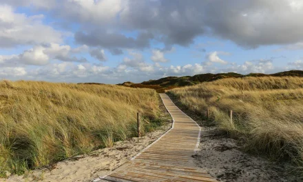 Where You Become True Is the Place of Truth – Preface