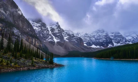 Worry